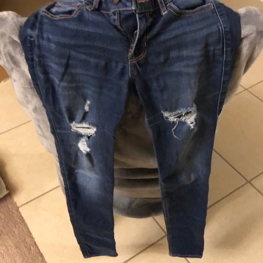 Hollister brand